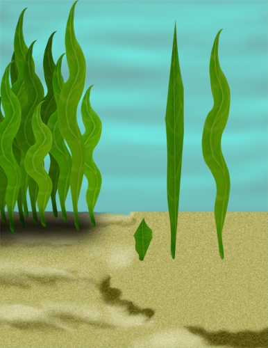Creation of Underwater Drama: Step 8